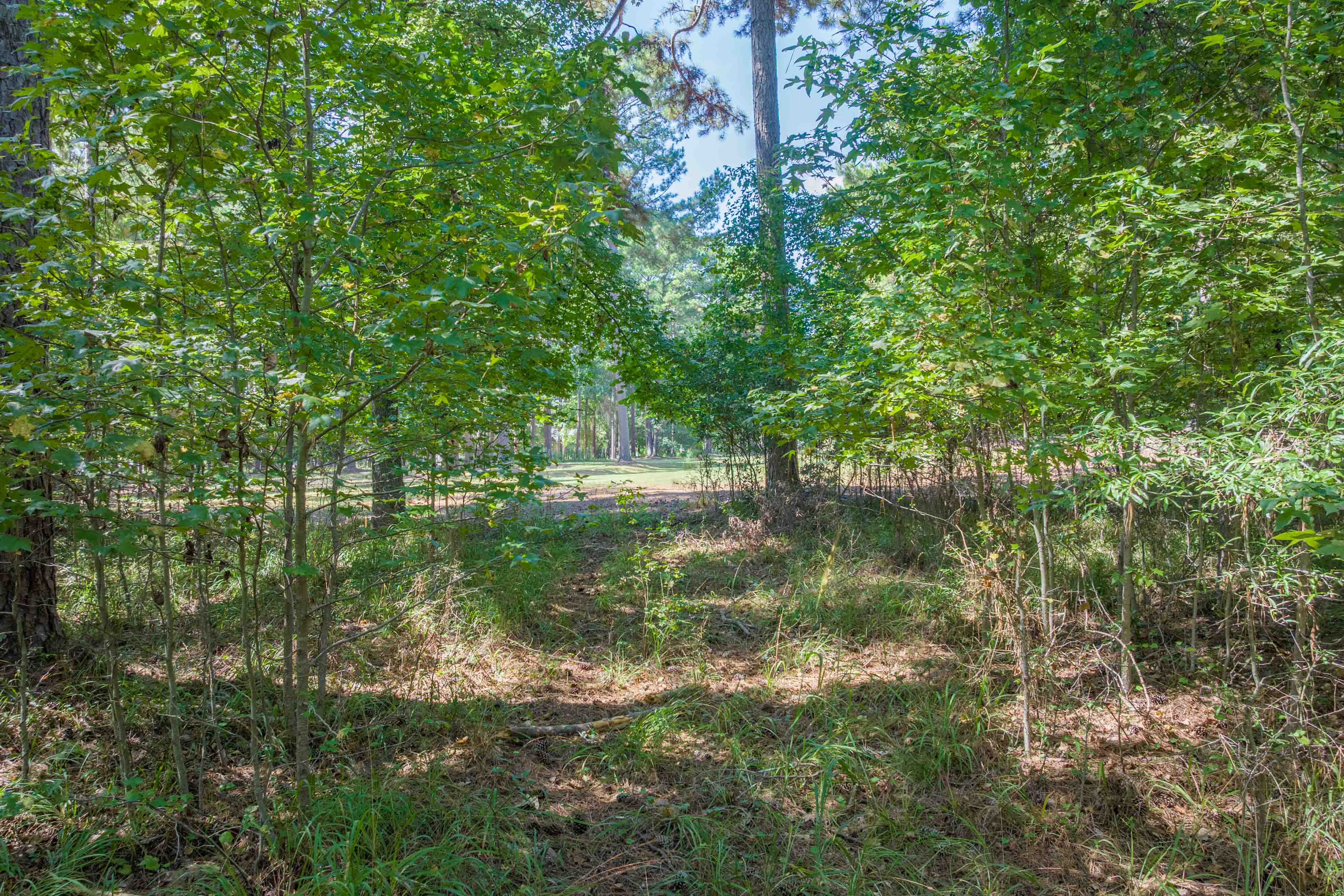 132 Porterfield Drive image 8